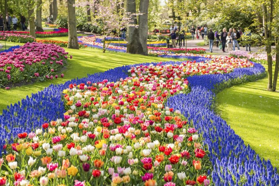 Keukenhof: Flower Fields Small-Group Cultural Bike Tour - Is $68 a fair price?