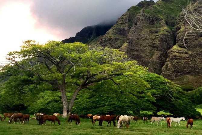 Kualoa Ranch: Novice E-Bike - Mud, Weather, and What to Wear