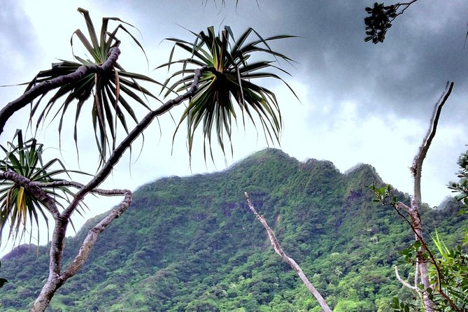Kualoa Ranch: Novice E-Bike - Who Will Enjoy This E-Bike Tour Most?