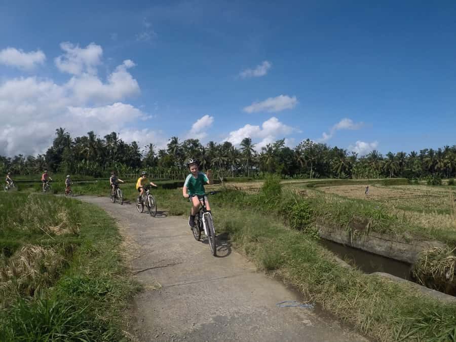 Kuta: Kintamani Culture and Nature Guided Cycling Tour - Why this cycling route works so well