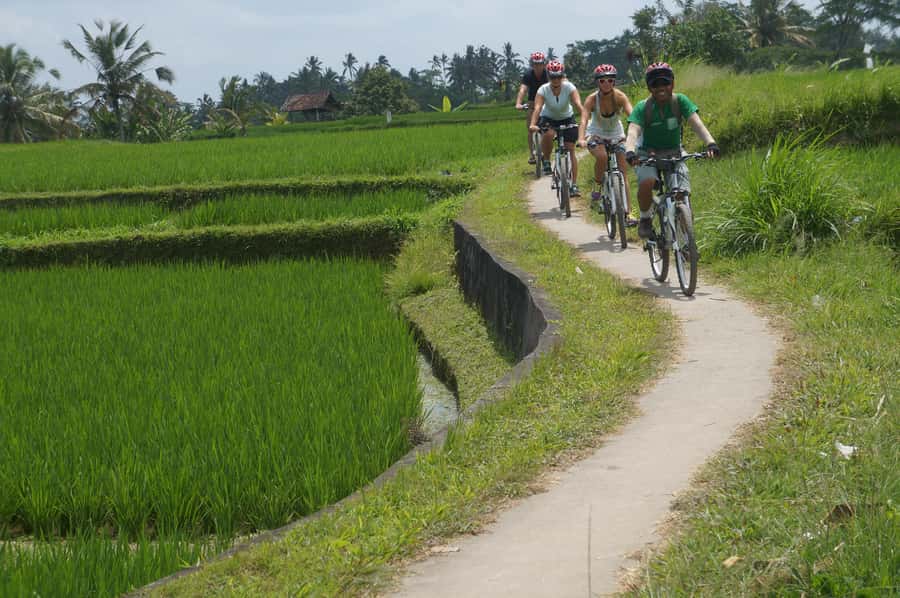 Kuta: Kintamani Culture and Nature Guided Cycling Tour - Coffee and Balinese cake under the palms