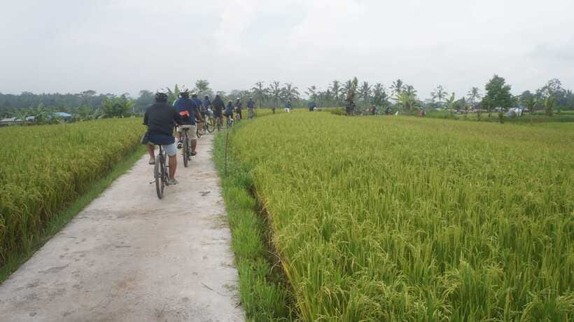 Kuta: Kintamani Culture and Nature Guided Cycling Tour - What the $36 price really includes