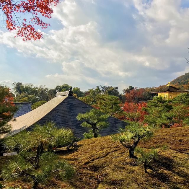 Kyoto: City Secrets eBike Tour - Geisha district streets and the shrine of knowledge