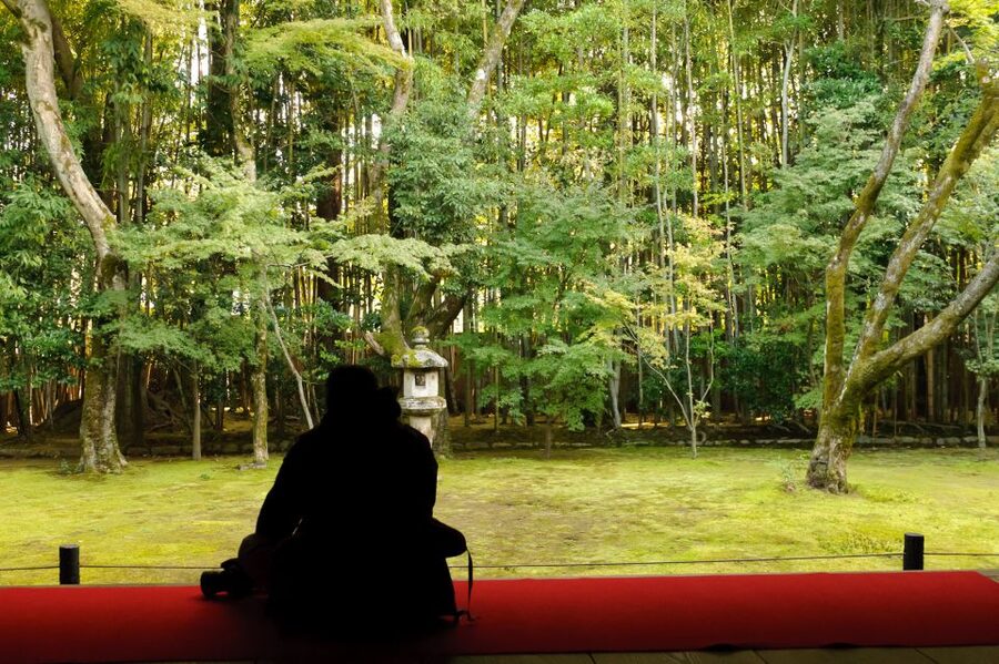 Kyoto: City Secrets eBike Tour - Daitoku-ji, Zen gardens, and a quieter Kyoto
