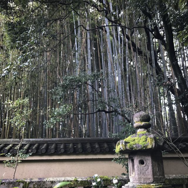 Kyoto: City Secrets eBike Tour - Tea, mochi, and the small tastes between temples