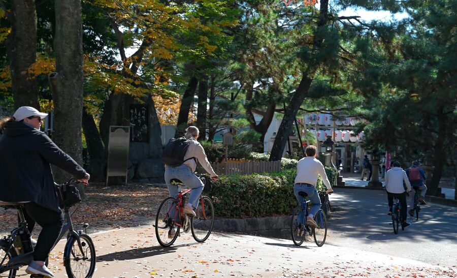 Kyoto: Full Day Bike Tour - Lunch and the Imperial Palace: a welcome pause