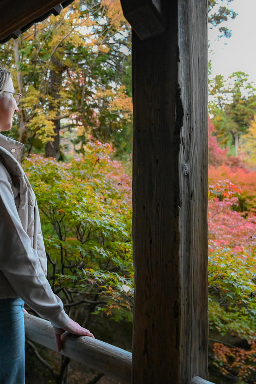 Kyoto: Half-day Guided Bike Tour with Fushimi Inari - What the $77 price really buys you