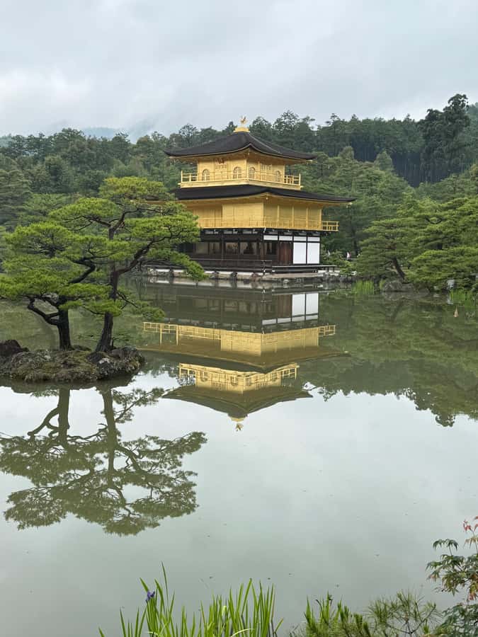 Kyoto: Memory Kyoto E-Bike Tour - Cycling through Kyoto’s quieter neighborhoods