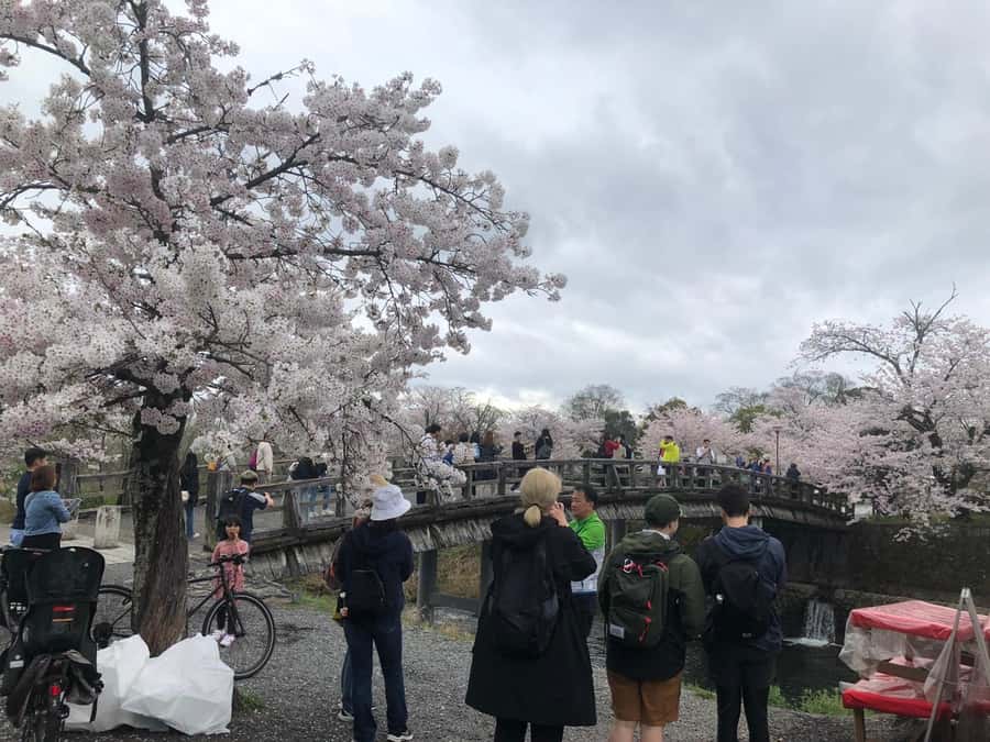 Kyoto: Memory Kyoto E-Bike Tour - Arashiyama Bamboo Forest and the surrounding area