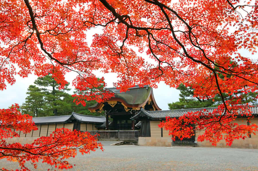 Kyoto: Tailored E-Bike Tour to Highlights & Hidden Gems - Gion and the Older Streets