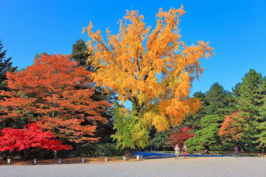 Kyoto: Tailored E-Bike Tour to Highlights & Hidden Gems - Weather, Clothing, and Practical Limits