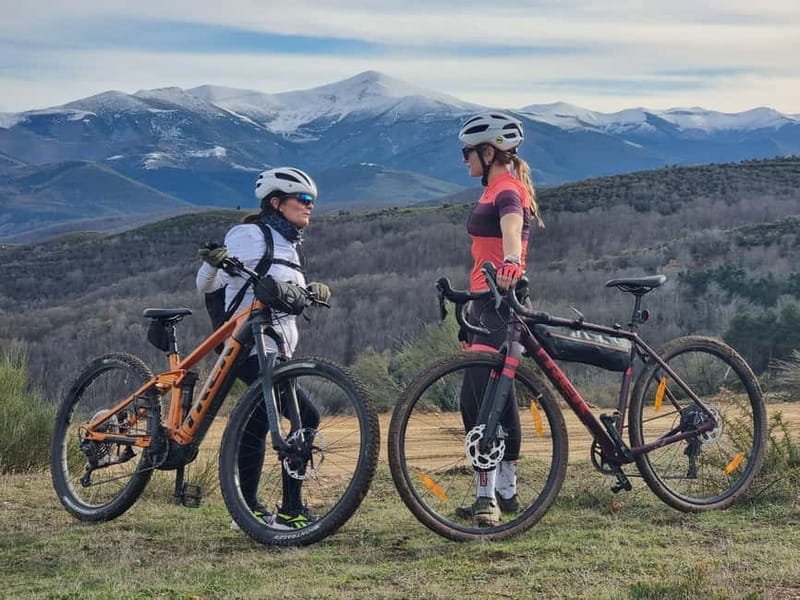 La Rioja: Guided Bike Tour - Starting in Santo Domingo de la Calzada