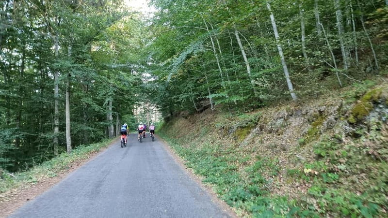 La Rioja: Guided Bike Tour - Weather and timing tips