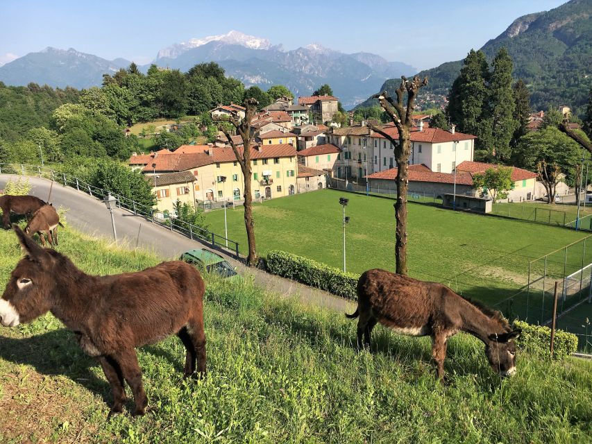 Lake Como to Lake Lugano: E-Bike Three Panoramic Lakes - The Val Sanagra Gorge and Medieval Road