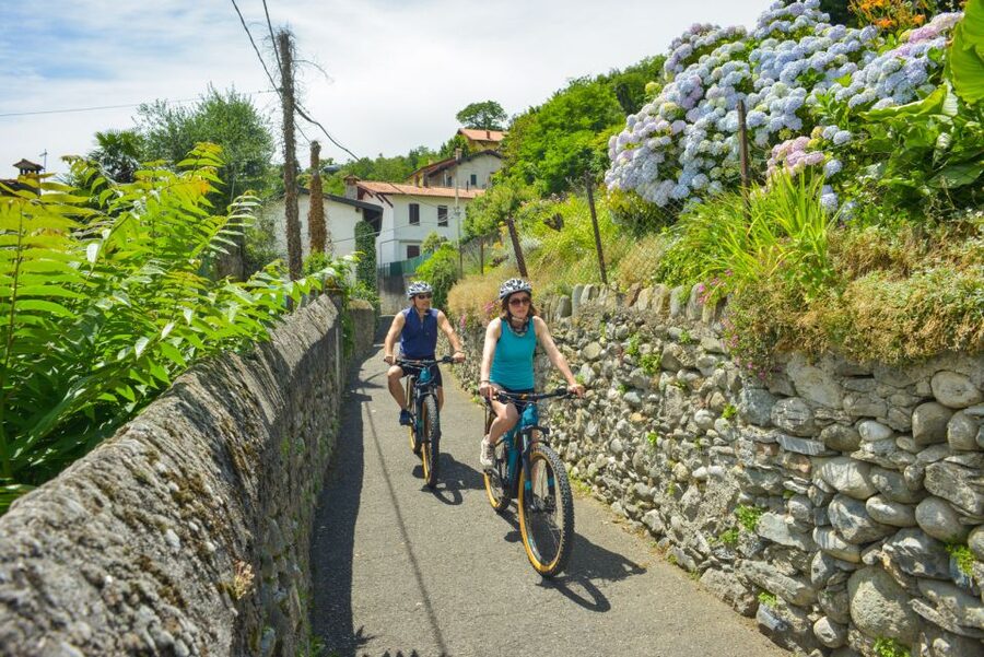 Lake Como to Lake Lugano: E-Bike Three Panoramic Lakes - Lake Piano Nature Reserve and the Old Railway Path