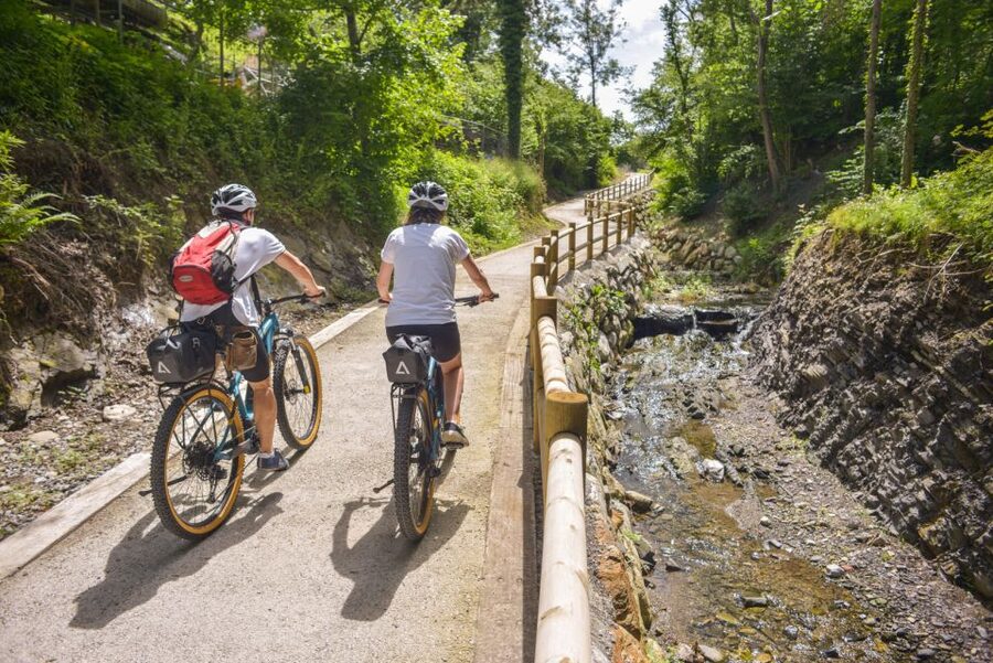 Lake Como to Lake Lugano: E-Bike Three Panoramic Lakes - Why the Small Group Matters