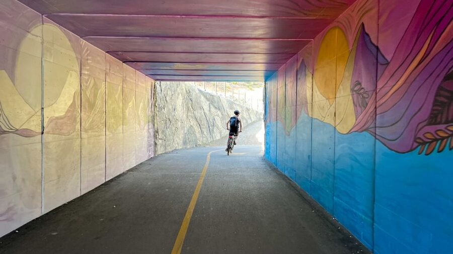 Lake Tahoe Lakeside Electric Bike Rental - The Lakeshore bike path gives you an easy opening