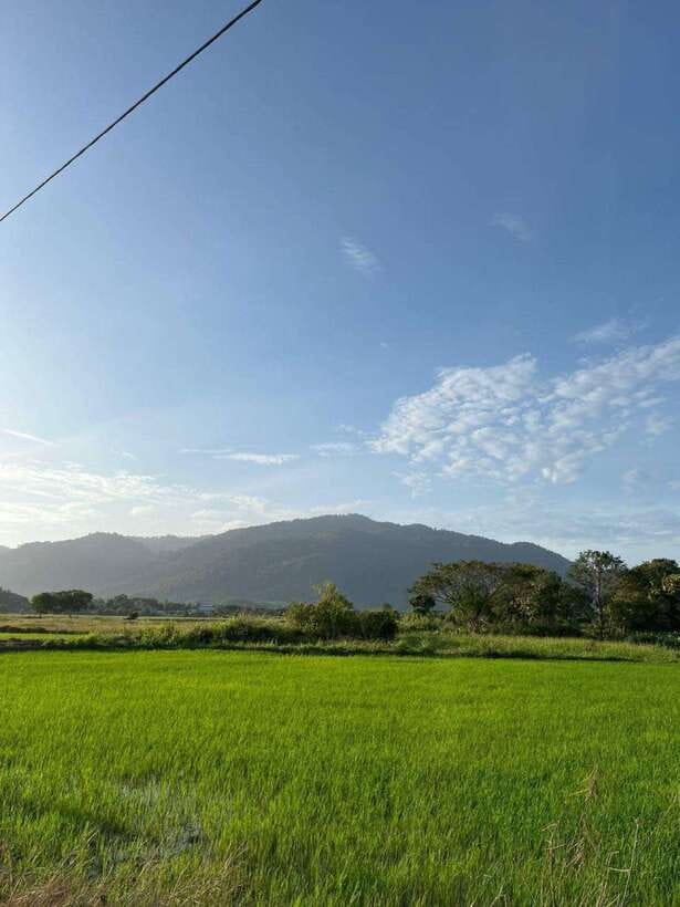 Langkawi: Countryside Bike Tour, Waterfall Swim & Dessert - Why the guide matters on this ride
