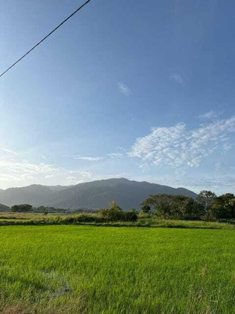 Langkawi: Countryside Bike Tour, Waterfall Swim & Dessert - Durian Perangin Waterfall is the reward