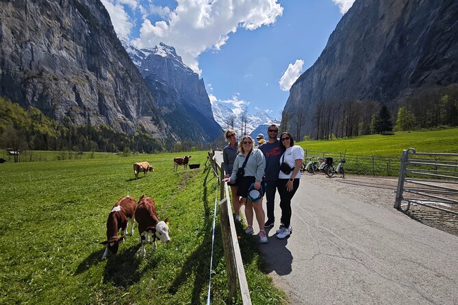 Lauterbrunnen Valley Waterfalls E-bike Tour with Swiss Picnic - A Swiss picnic with cows, cliffs, and local food