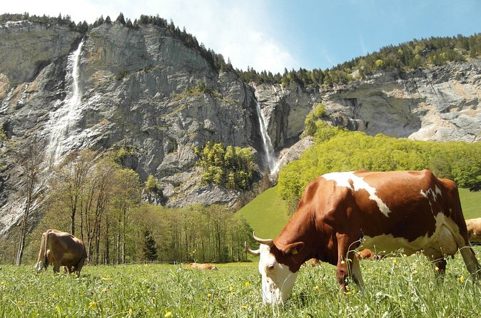 Lauterbrunnen Valley Waterfalls E-bike Tour with Swiss Picnic - Fitness, age, weather, and practical limits