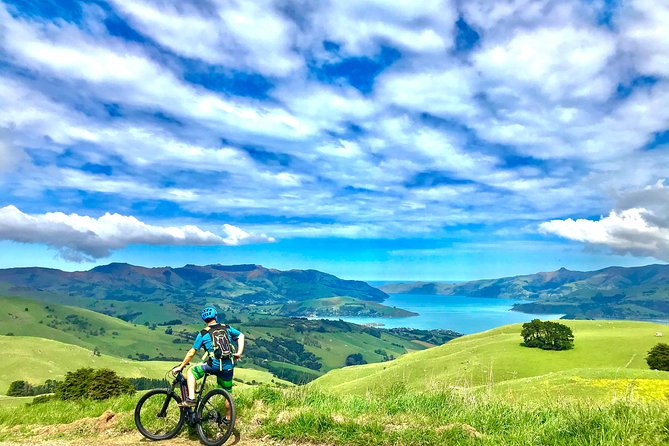 Lava Loop- Guided electric mountain bike tour in Akaroa - Key points to know before you book