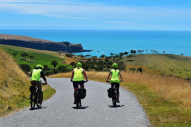 Lava Loop- Guided electric mountain bike tour in Akaroa - Reaching the crater rim above Akaroa