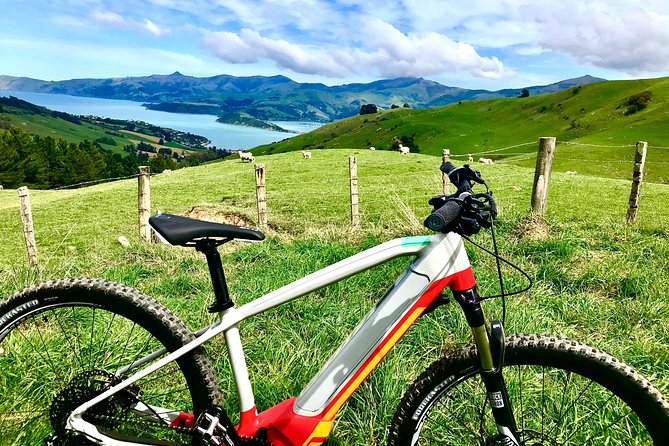 Lava Loop- Guided electric mountain bike tour in Akaroa - Climbing toward the volcanic heights