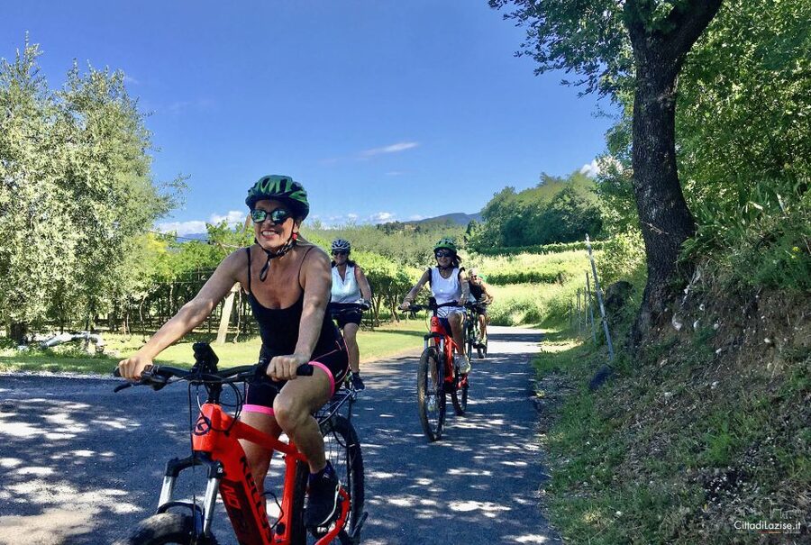 Lazise: Bike Tour and Wine Tasting - Key details before you book