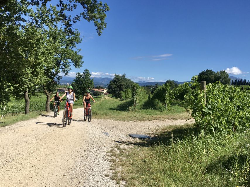 Lazise: Bike Tour and Wine Tasting - Starting at Le Ginestre Winery in Lazise