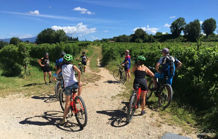Lazise: Bike Tour and Wine Tasting - Lake Garda views without the lakeside crowds