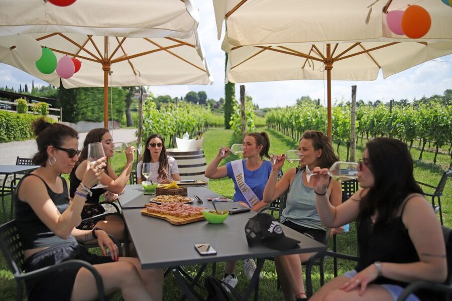 Lazise: Bike Tour and Wine Tasting - Riding 20 kilometers through vineyards and olive groves