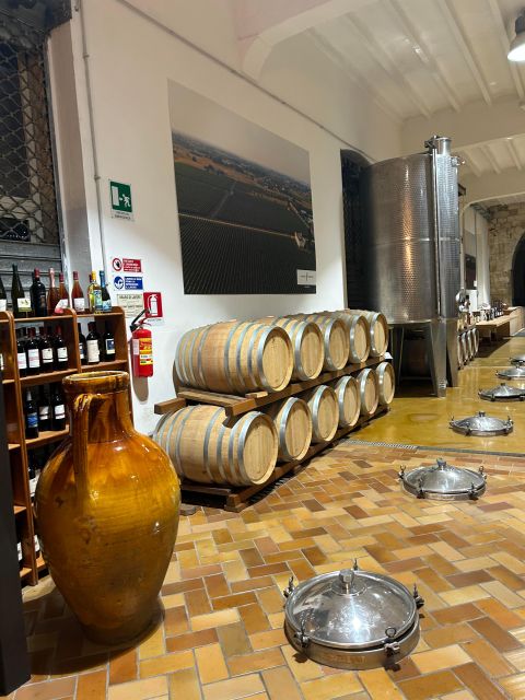 Lecce: E-Bike Tour to Galatina Olive Mill & Wine taste +Taxi - Key points at a glance