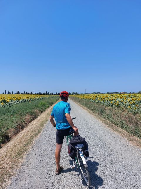 Lecce: E-Bike Tour to Galatina Olive Mill & Wine taste +Taxi - The back roads between Sternatia and Galatina
