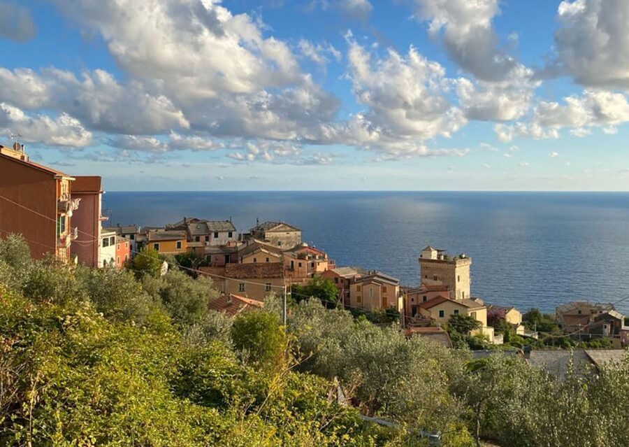 Levanto: Guided E-Bike Tour in Framura with Wine & Focaccia - What the Guides Add