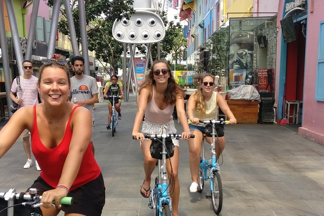 Lion City Bike Tour of Singapore - Starting at 9:00 am near Nicoll Highway