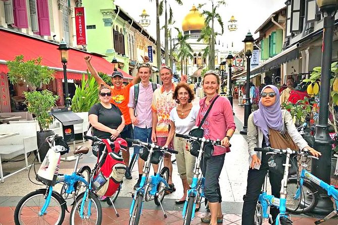 Lion City Bike Tour of Singapore - Is $68.69 a fair price?