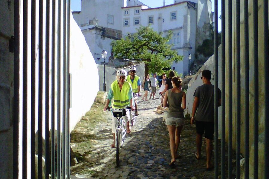 Lisbon: 7 Hills Half-Day Electric Bike Tour - From Campos Mártires da Pátria to Jardim do Torel