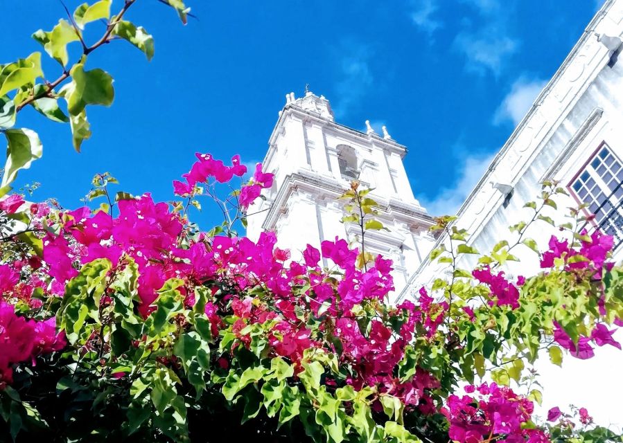 Lisbon: 7 Hills Panoramic Guided Tour by E-Bike - Graça, Alfama, and old Lisbon by bike