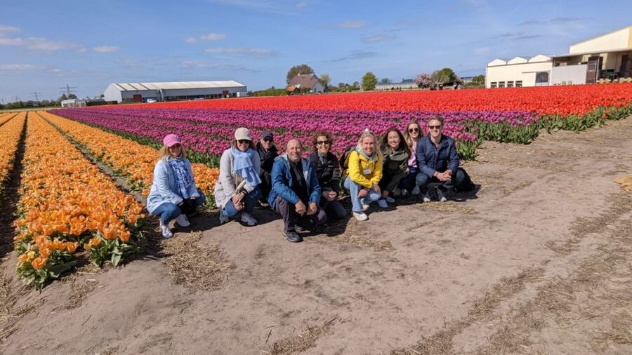 Lisse: Enjoy the Tulip Fields by Bike with a Local Guide! - What makes this bike tour worth considering