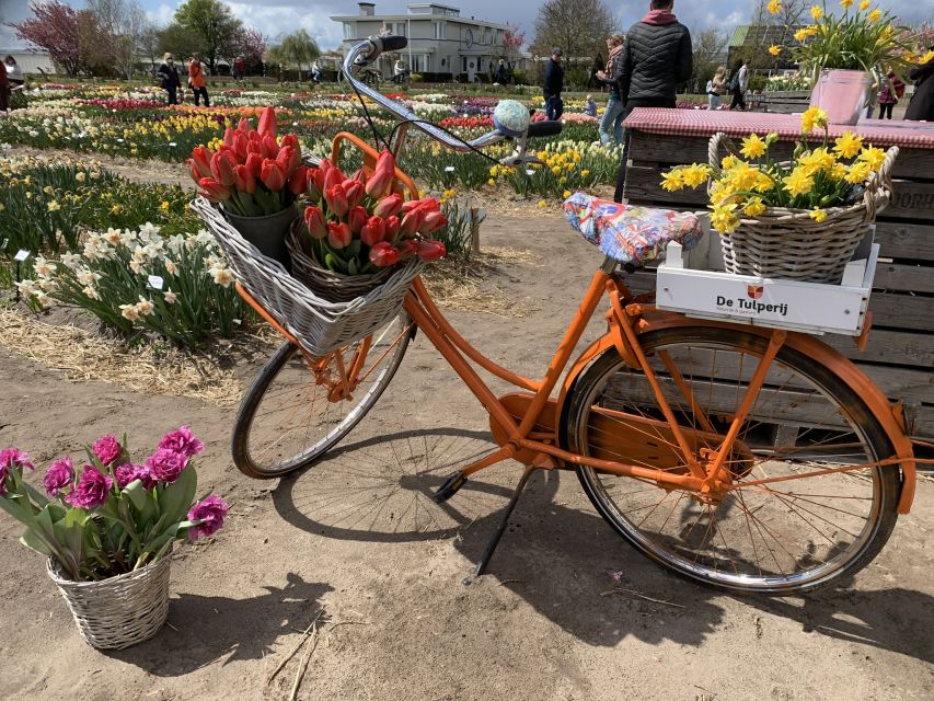 Lisse: Enjoy the Tulip Fields by Bike with a Local Guide! - The tulip farm stop and show garden