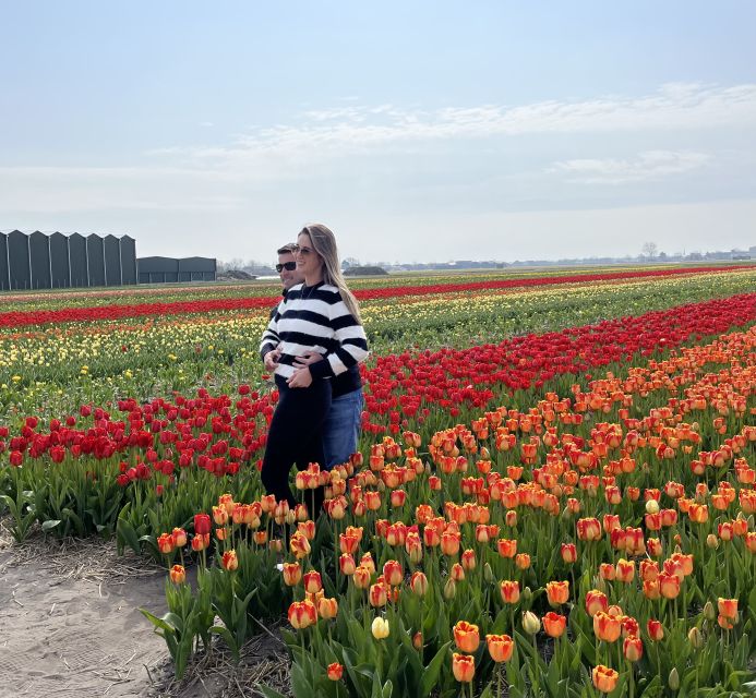 Lisse: Enjoy the Tulip Fields by Bike with a Local Guide! - Who will enjoy this tour most