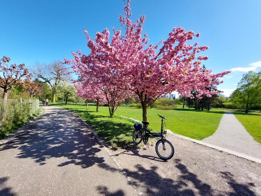 Ljubljana by E-Bike: Guided City Highlights Tour - Beyond the postcard streets