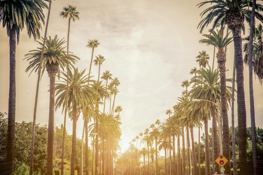 Los Angeles: LA in a Day Guided Electric Bike Tour - Santa Monica and the move to the coast