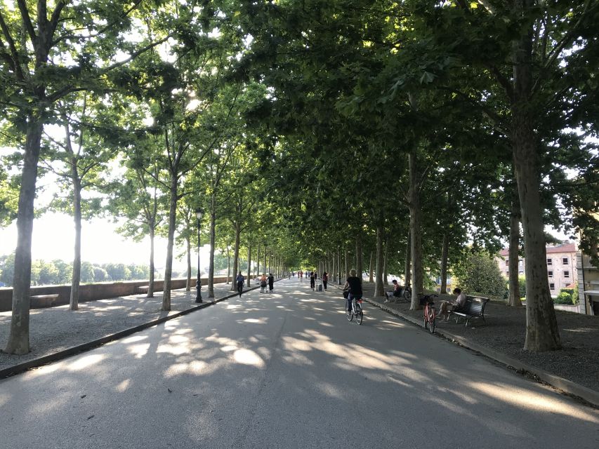 Lucca: City Bike One-Day Rental - First lap on Lucca’s 4.2-kilometer walls