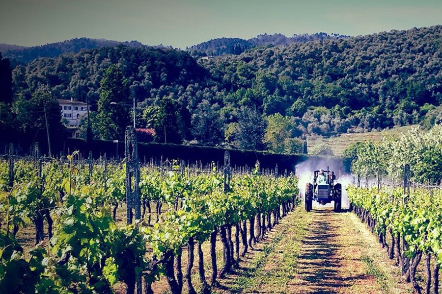 Lucca: Guided E-Bike and Wine Tour - Why this Lucca bike and wine tour works