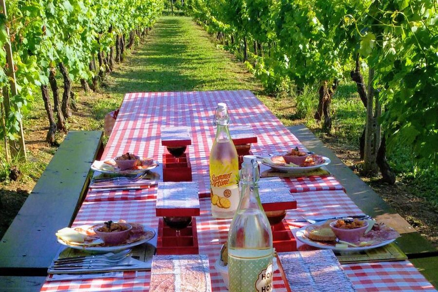 Lucca: Guided E-Bike and Wine Tour - The family winery visit and tasting
