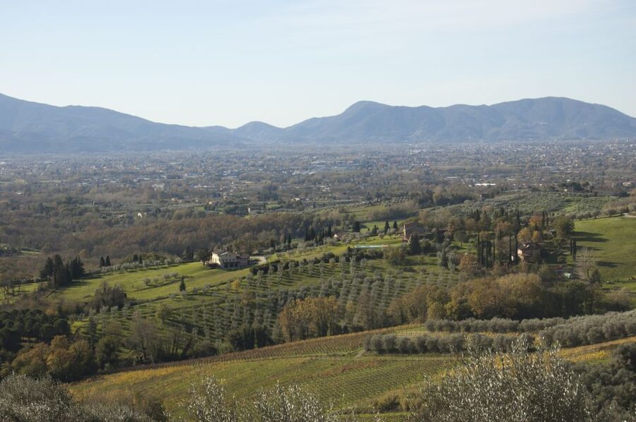 Lucca: Guided E-Bike and Wine Tour - The ride back and what the timing means
