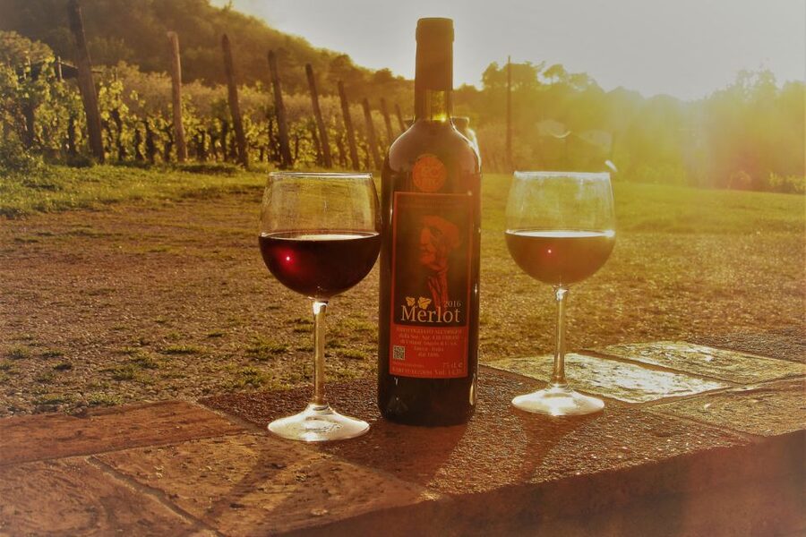 Lucca: Guided E-Bike and Wine Tour - Starting beside Lucca’s train station