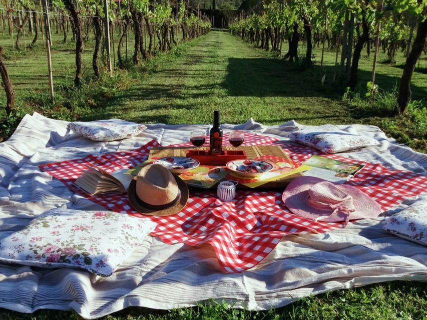 Lucca: Picnic Lunch at a Vineyard by Bike - Key points at a glance
